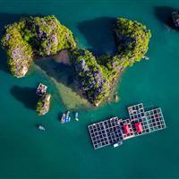 Ha Long Bay se divorcia de Cat Ba